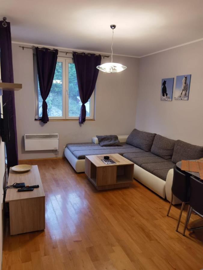 APARTMENTS FOKA - near SKI Gondola - PROMO Kopaonik Esterno foto