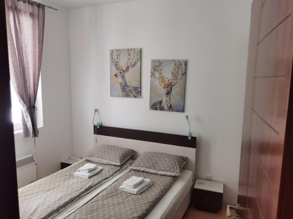 APARTMENTS FOKA - near SKI Gondola - PROMO Kopaonik Esterno foto