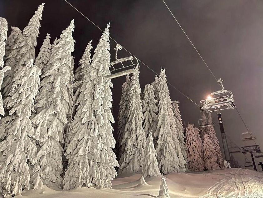 APARTMENTS FOKA - near SKI Gondola - PROMO Kopaonik Esterno foto